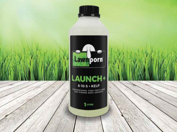 Lawnporn Launch+ 1L Bottle