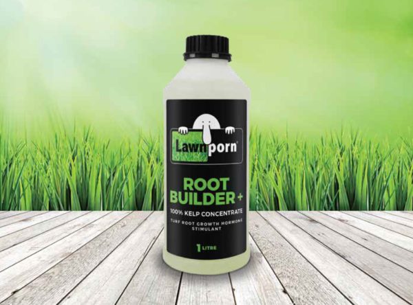 Root Builder