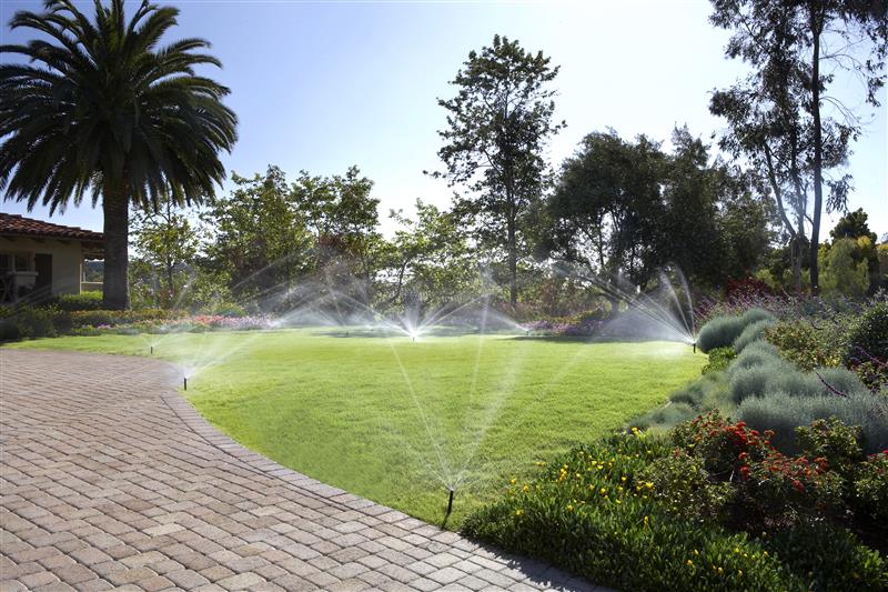 Sprinklers - Brighton Irrigation