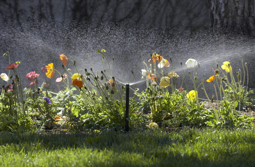 Sprinklers - Brighton Irrigation