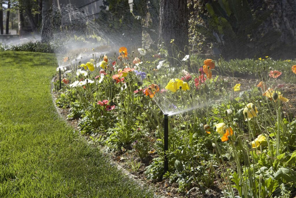 Sprinklers - Brighton Irrigation