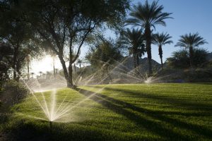 Indiana Wells Sprinklers - Brighton Irrigation